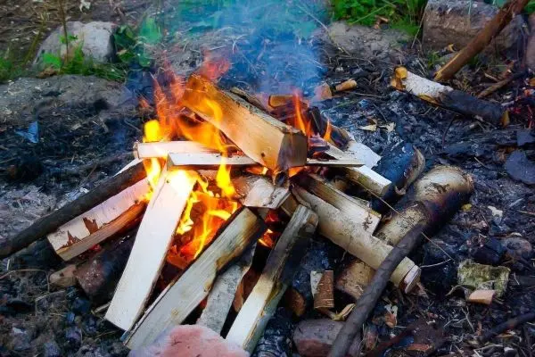 Feuer brennt zwischen Holzscheiten auf dem Boden