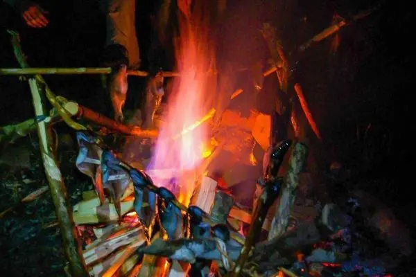 Flammen lodern zwischen Holzscheiten und Fisch am Spieß