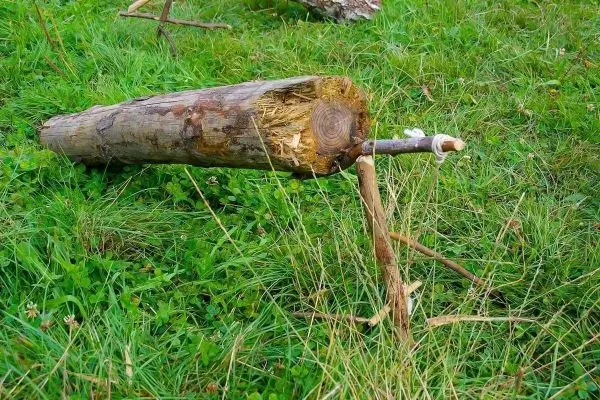 Holzstück mit einem kleinen Ast als Stütze auf Grasfläche