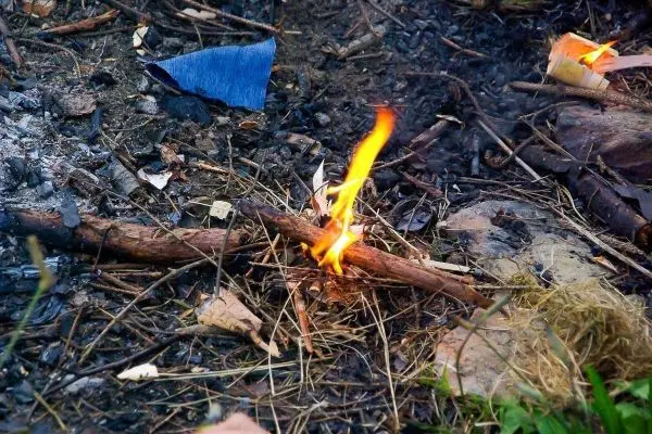 Kleine Flamme brennt auf einem Holzstück im Unterholz