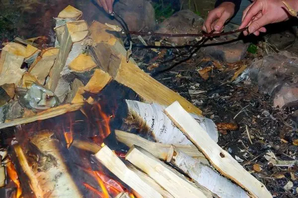 Kleine Flamme brennt zwischen Holzscheiten, zwei Hände halten Stöcke über das Feuer