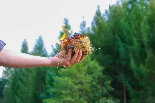 Person hält brennendes Nest aus Gras in der Hand