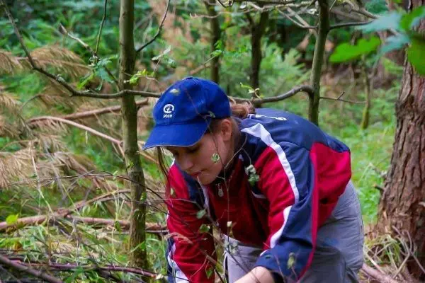 Person sammelt Äste im Wald