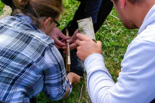 Personen bearbeiten einen Stock auf einer Wiese beim Survival Training
