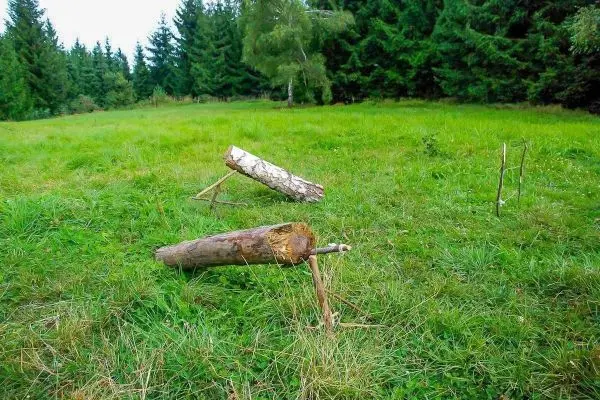 Schlagfalle (Figure-Four/4er-Falle) aus Holzstücken im Gras aufgebaut