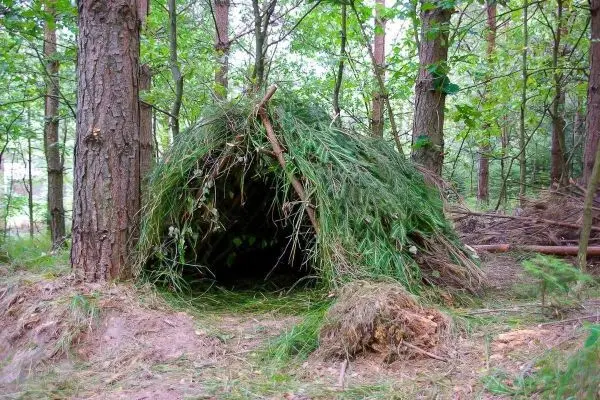 Tarp-Notunterkunft aus Ästen und Gras im Wald gebaut