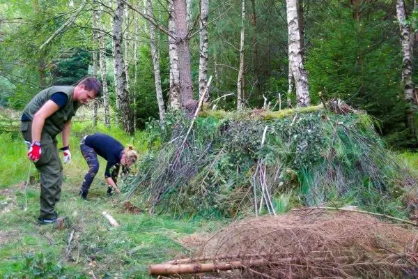 Zwei Personen bauen eine Tarp-Notunterkunft aus Ästen und Laub im Wald