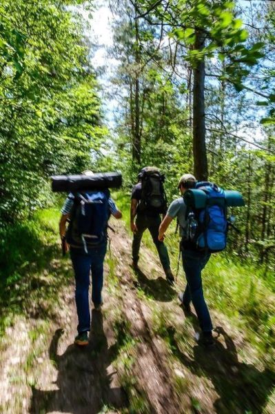 Drei Wanderer mit Rucksäcken gehen einen schmalen Pfad im Wald entlang