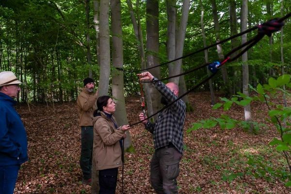 Eine Person spannt ein Seil zwischen zwei Bäumen, während andere zuschauen