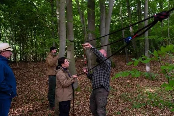 Eine Person spannt ein Seil zwischen zwei Bäumen, während andere zuschauen
