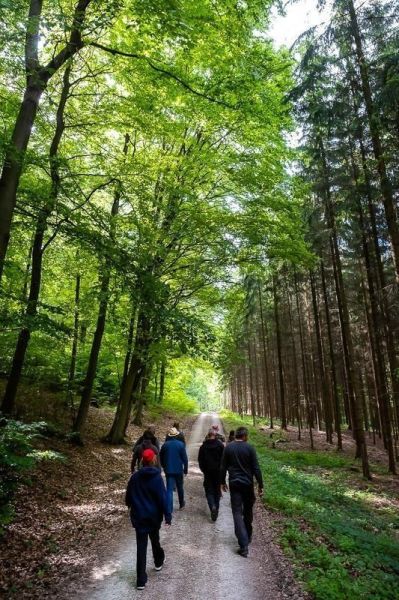 Gruppe geht auf einem Waldweg zwischen Bäumen entlang