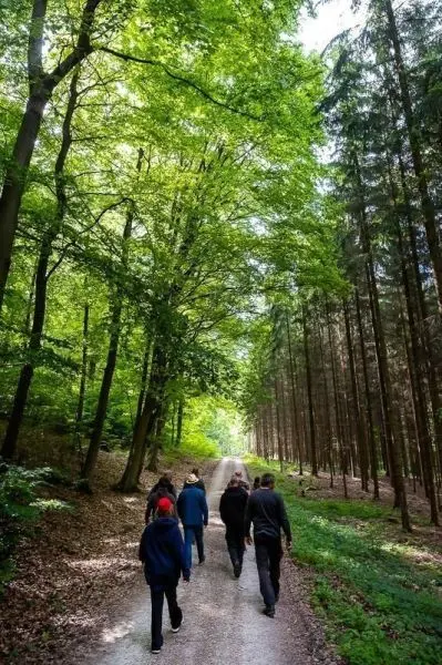 Gruppe geht auf einem Waldweg zwischen Bäumen entlang