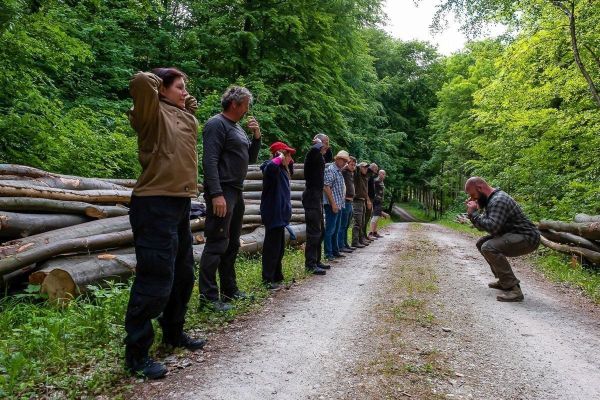 Gruppe steht auf einem Waldweg neben gestapelten Baumstämmen und beobachtet eine Person