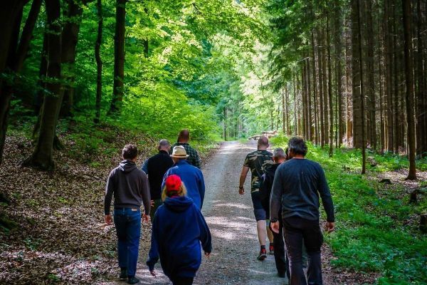 Gruppe von Personen geht einen Waldweg entlang, umgeben von Bäumen und Grün