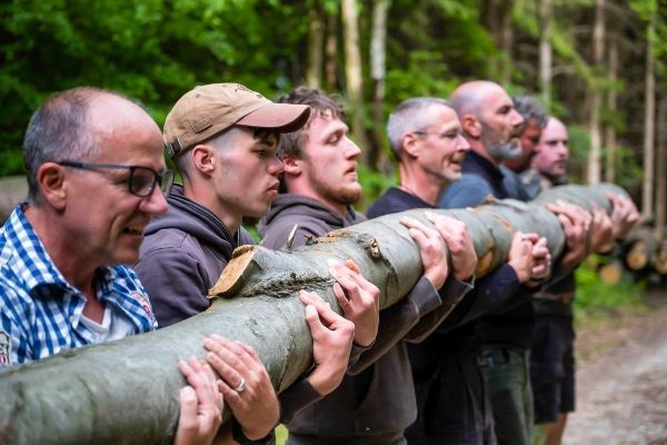Gruppierung hebt gemeinsam einen langen Baumstamm an
