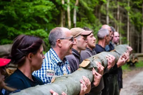 Gruppierung hebt gemeinsam einen langen Baumstamm in einem Waldgebiet