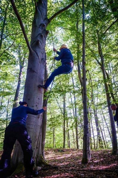 Person klettert mit Seil an einem Baum hoch, während eine andere Person unterstützt
