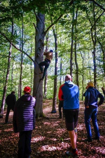 Teilnehmer klettert an einem Baumstamm hoch, andere beobachten im Wald