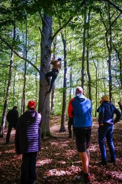 Teilnehmer klettert an einem Baumstamm hoch, andere beobachten im Wald