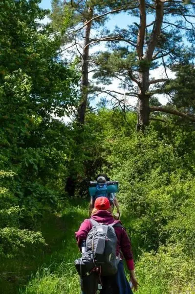 Wanderer mit Rucksack geht einen schmalen Pfad durch grünes Unterholz