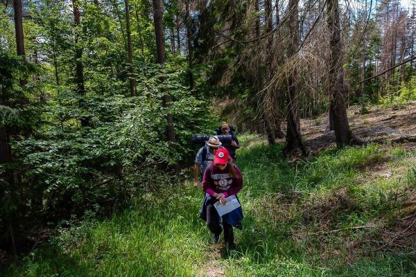 Wanderer mit Rucksack und Karte gehen durch einen bewaldeten Pfad