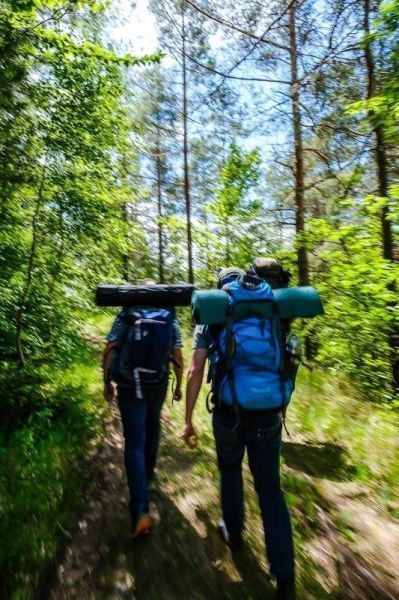 Zwei Personen tragen Rucksäcke und gehen einen Waldweg entlang