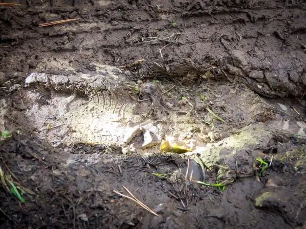 Abdruck eines Schuhs im feuchten Boden mit sichtbaren Profilrillen