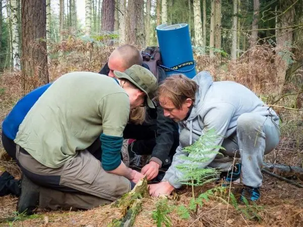 Drei Personen arbeiten gemeinsam an einer Holzstruktur im Wald