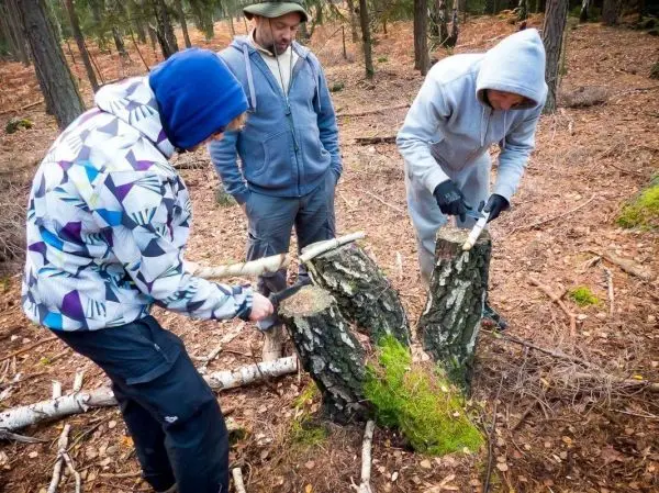 Drei Personen bearbeiten Baumstämme mit einem Messer im Wald