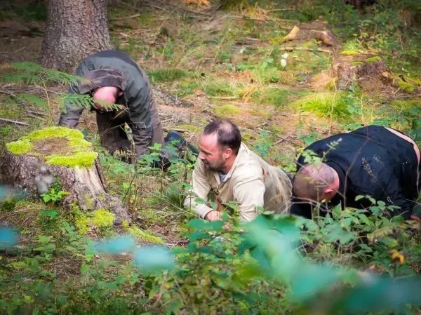 Drei Personen knien im Wald und suchen am Boden nach etwas