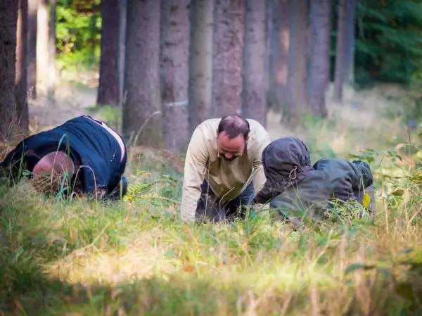 Drei Personen kriechen durch hohes Gras im Wald
