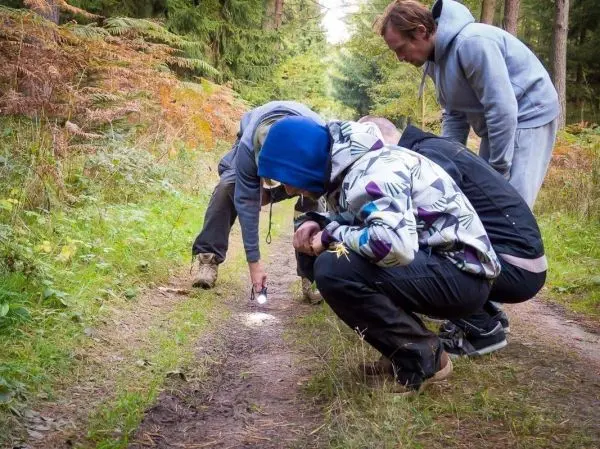 Gruppierung untersucht den Bodenweg mit einer Taschenlampe