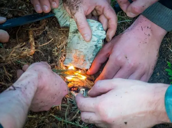 Hände entzünden Feuer mit Rinde und Zweigen beim Survival Training
