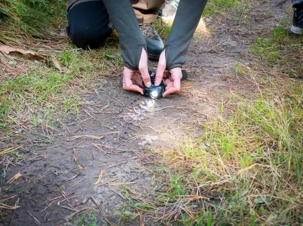 Hände halten eine Taschenlampe über den Boden, um Spuren zu untersuchen