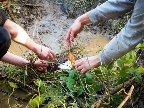 Hände legen Zweige um eine kleine Flamme im Boden