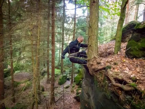 Person klettert an einem Baumstamm entlang