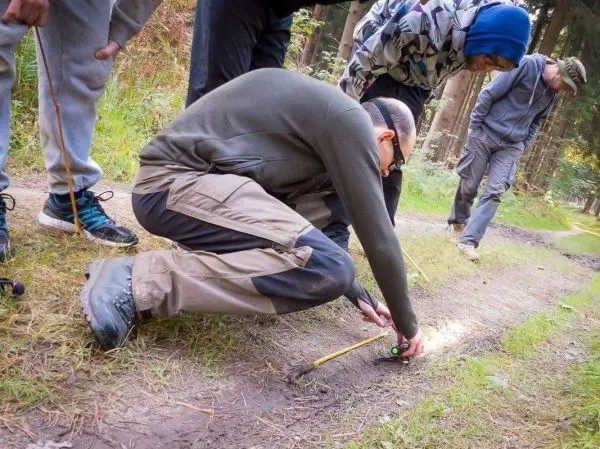 Person misst mit einem Kompass die Richtung auf einem Waldweg