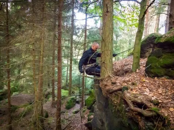 Person sichert sich an einem Baum im Wald