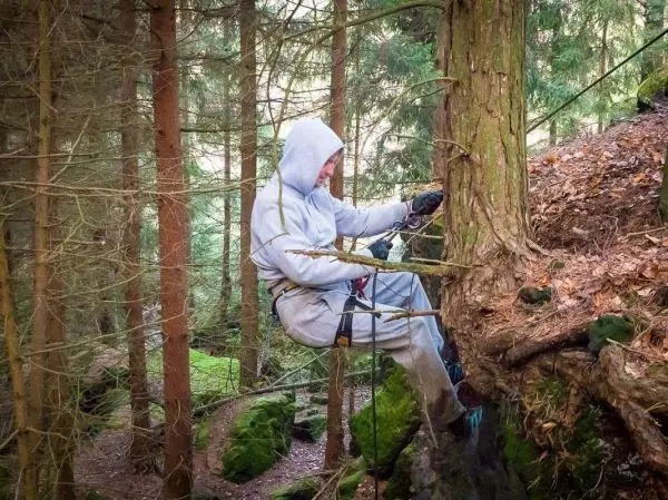 Person sichert sich mit Kletterausrüstung an einem Baum im Wald