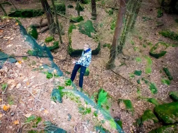 Person steht an einem Hang zwischen Bäumen und Steinen