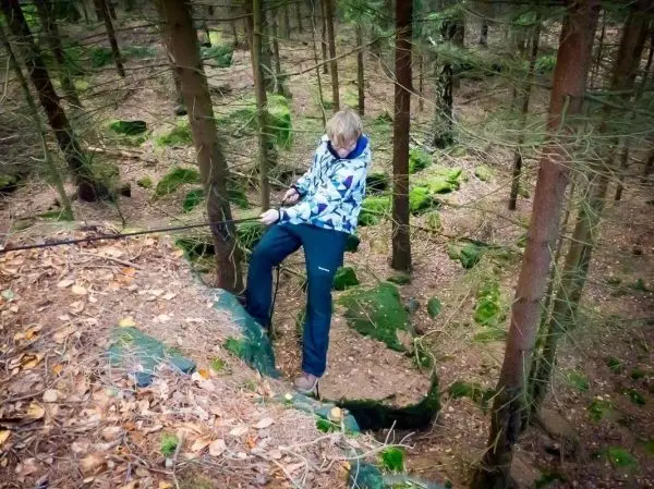 Seilquerung an einer steilen Felskante im Wald