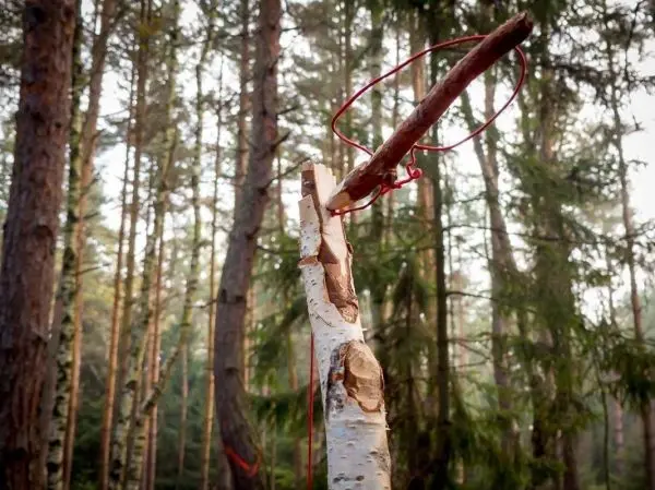 Selbstgebaute Vorrichtung aus Holz mit einem roten Ring im Wald