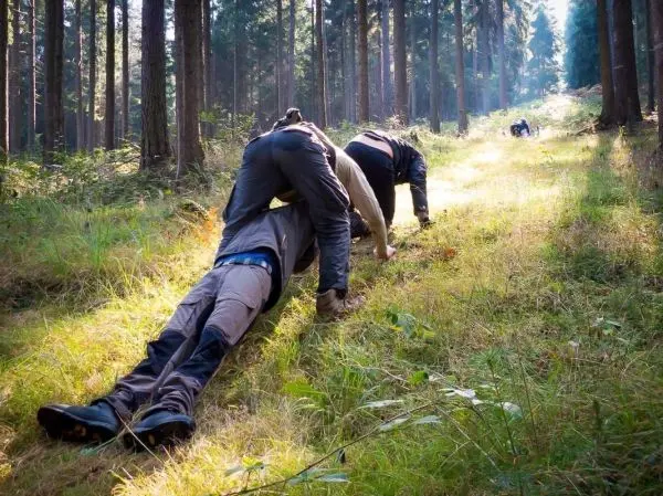 Teilnehmende kriechen auf dem Boden durch hohes Gras im Wald