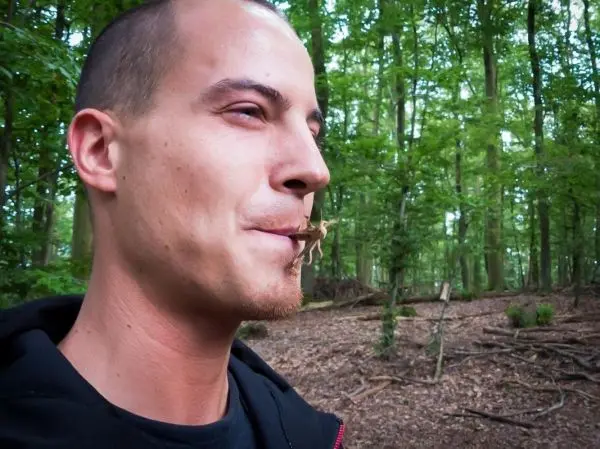 Mann hält einen kleinen Ast im Mund, um Geräusche zu imitieren