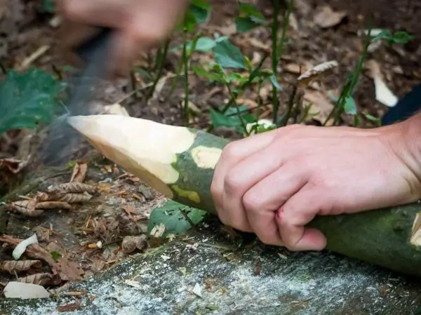 Messer formt einen Holzstock zu einer Spitze auf einem Baumstamm