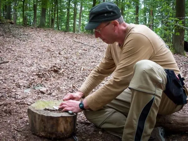 Person bearbeitet Holzstück auf Baumstumpf im Wald