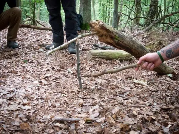 Person hält einen Stock über dem Boden im Wald