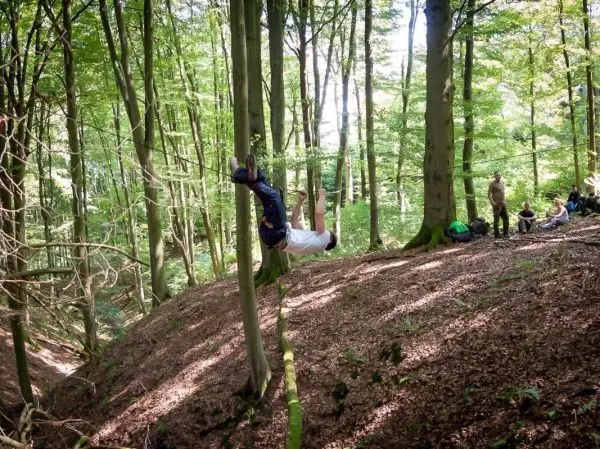 Person schwingt an einem Seil zwischen Bäumen im Wald