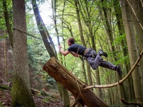 Person schwingt an Seil zwischen Bäumen im Wald