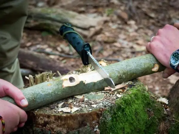 Säge schneidet Holzstück auf einem Baumstumpf